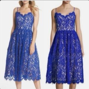 Eliza J Royal Blue Midi Lace Dress Size 8